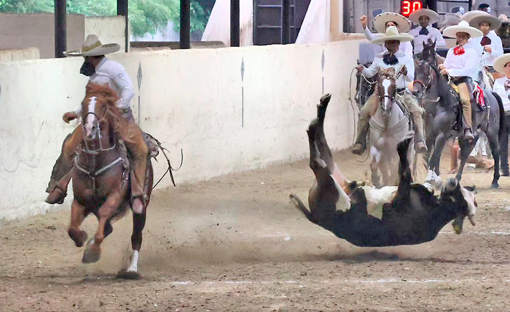 Ciudad Real y Murillo Ranch clasifican al Congreso y Campeonato ...