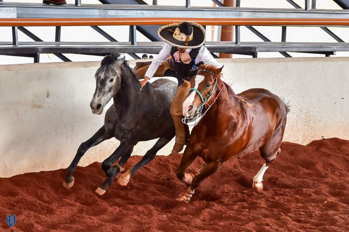 Jesar Heroico triunfo de Regionales de Texcoco «B» en el cierre del Torneo ...