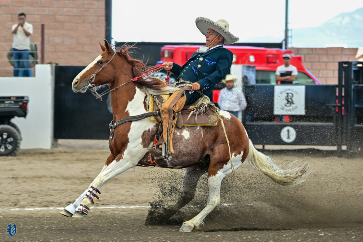 Luis Álvarez presentó la cala de caballo con 34 unidades para Regionales de San José Iturbide
