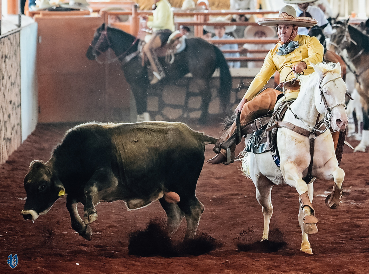 Jesar Se prepara el Gran Torneo de Feria de JESAR para el mes de junio - La ...